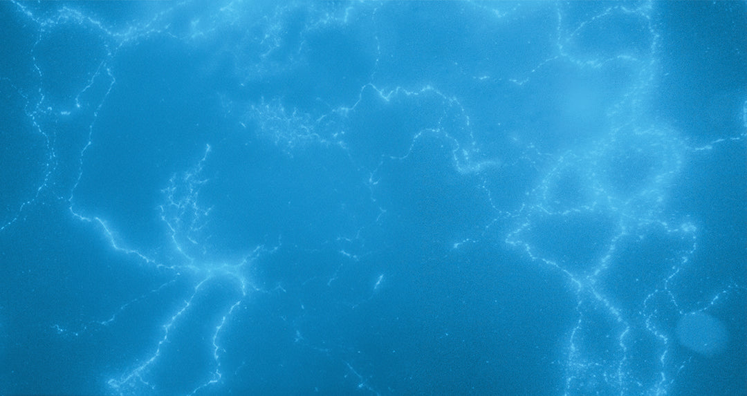 Top Web Page Banner_150.jpg__PID:c85f6cf1-f7ba-4b35-9b83-168db24c7a84